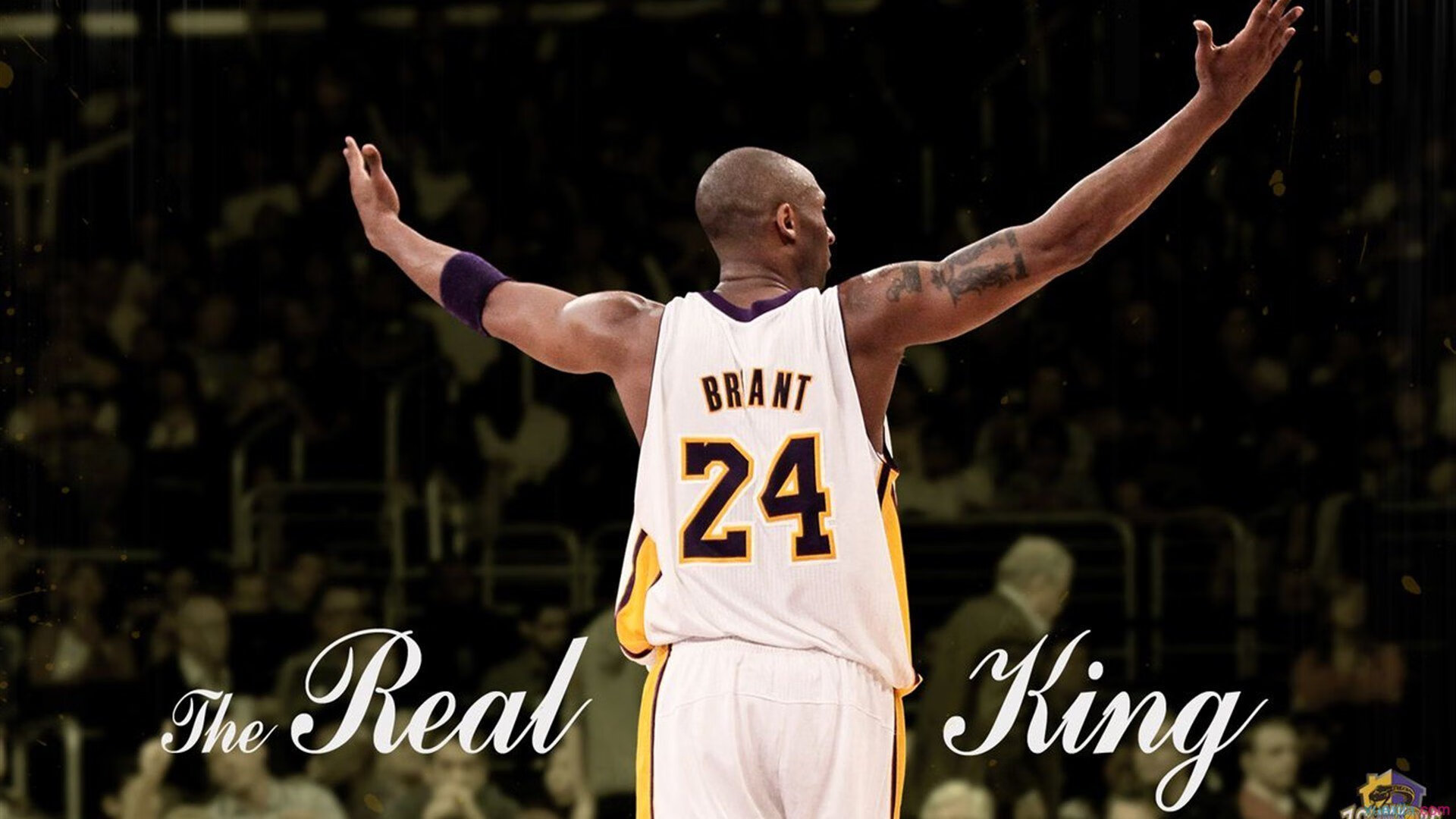 篮球少年用拼搏照亮前路，篮球.少年