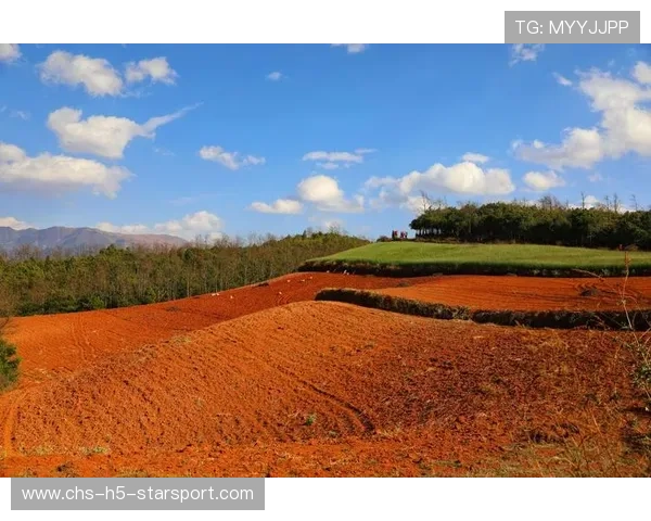 梅德韦杰夫谈红土表现：虽然我不喜欢红土，但我正在努力和它“做朋友”。