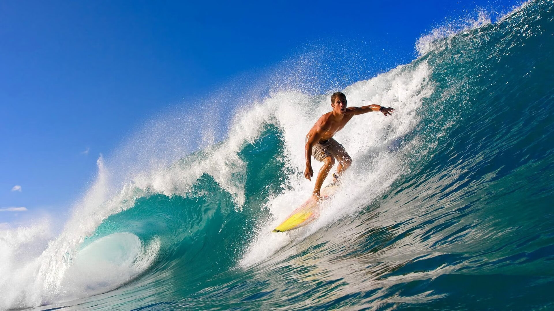 《FIFA》虚拟足球盛典,领略未来体育新未来!